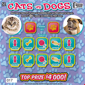 CATS VS DOGS